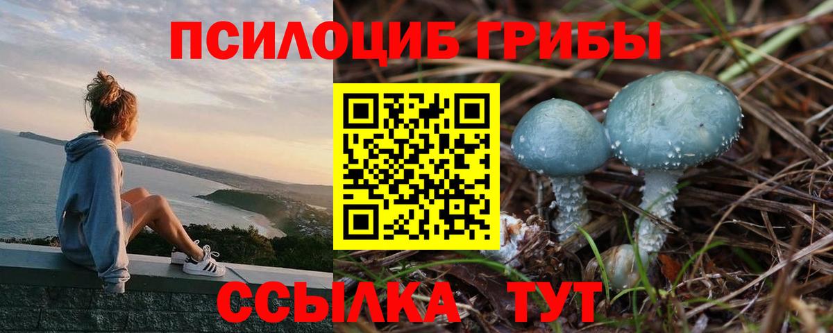 Бахчисарай  Галлюциногенные грибы MAGIC MUSHROOMS  Вход с VPN 